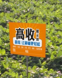 MG Sport- 阿尔特塔轮换策略收奇效  